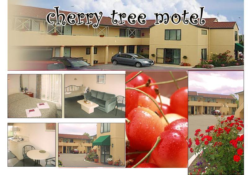 Cherry Tree Lodge Motel Christchurch Buitenkant foto