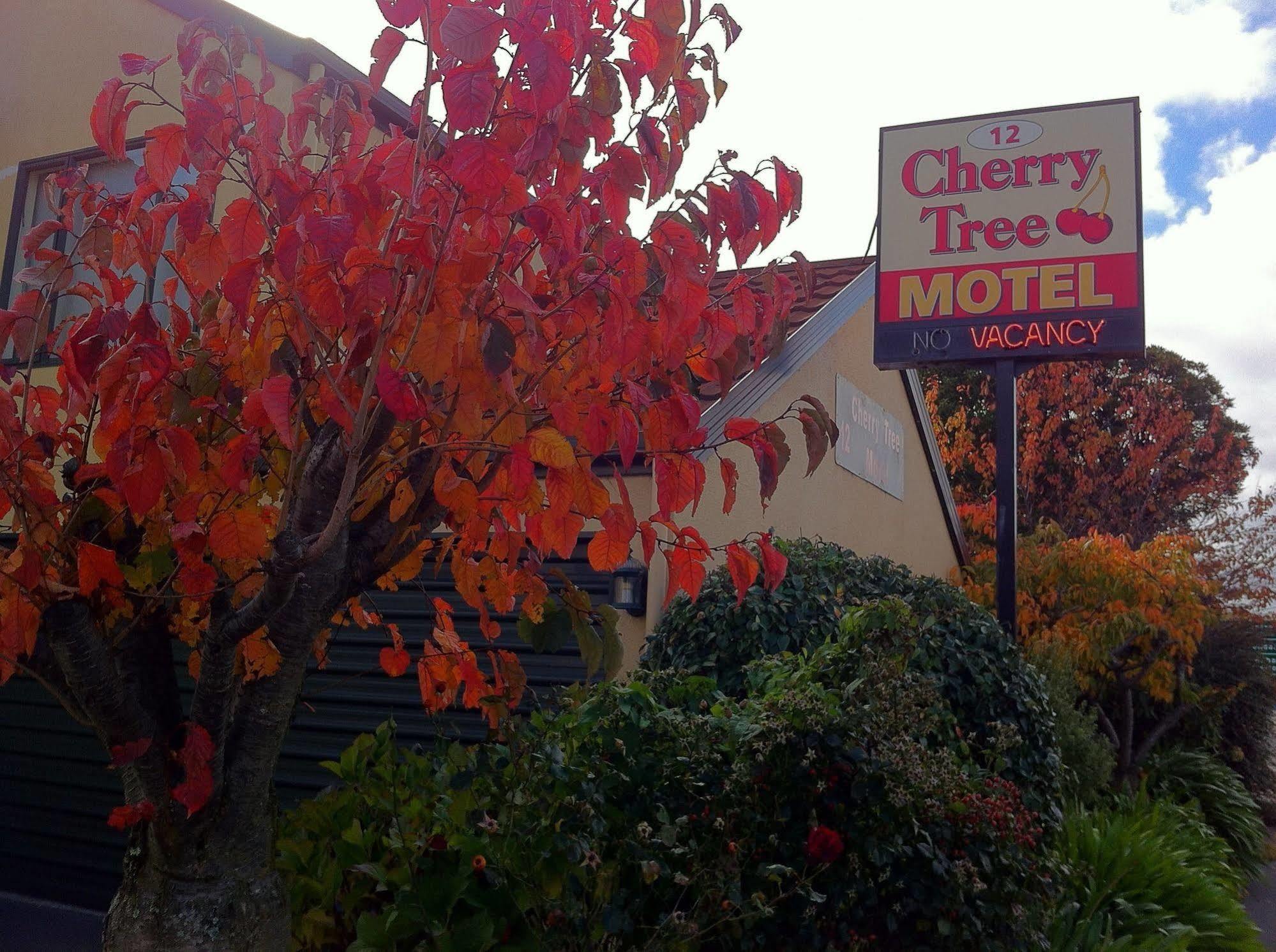 Cherry Tree Lodge Motel Christchurch Buitenkant foto